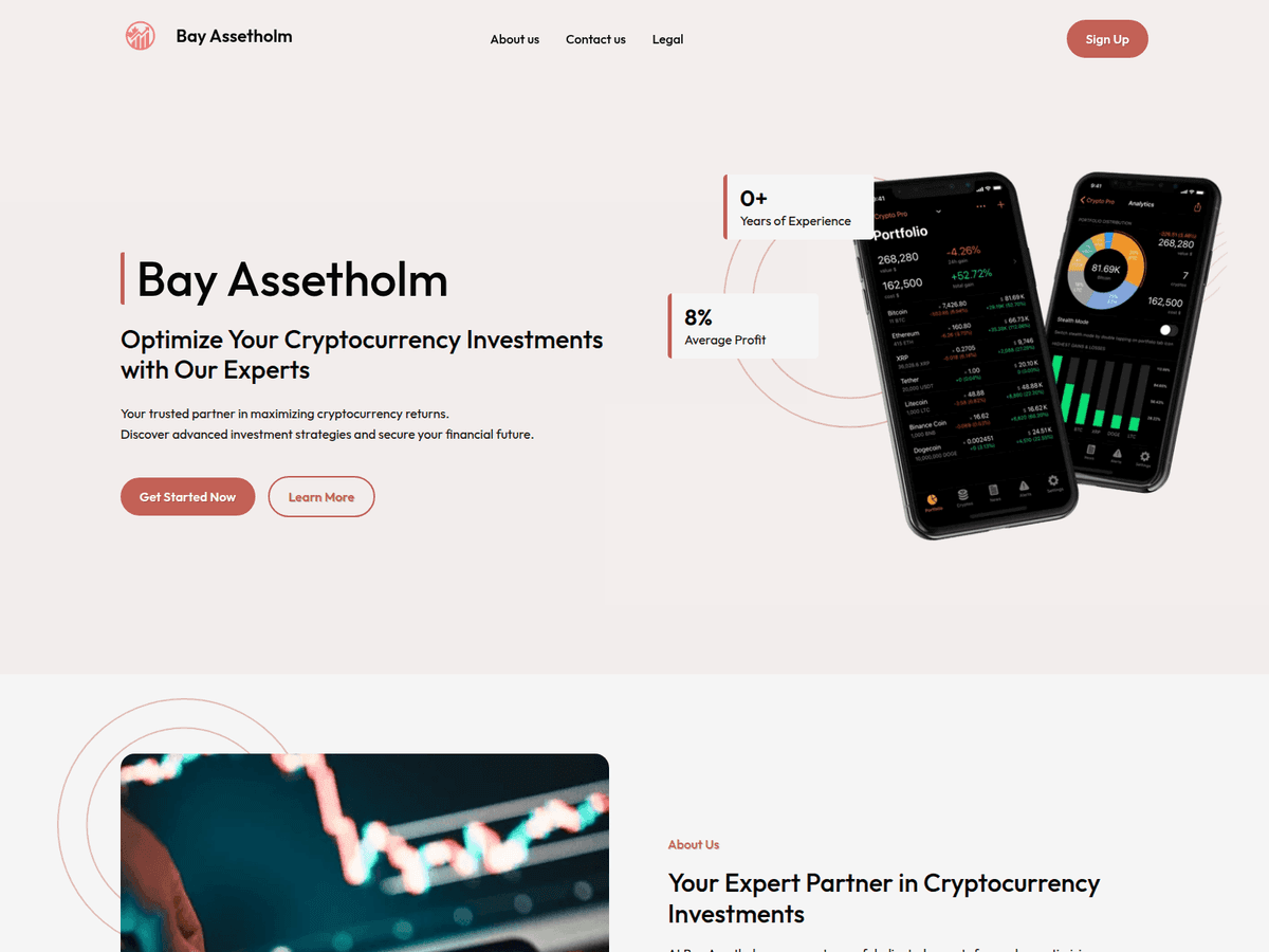 Screenshot der Webseite Bayassetholm Ca (bayassetholm-ca.com)