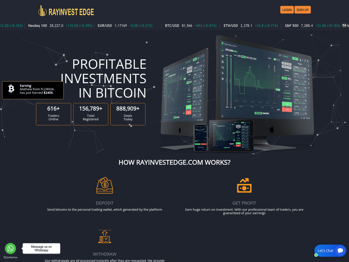 Screenshot der Webseite Rayinvestedge (rayinvestedge.com)