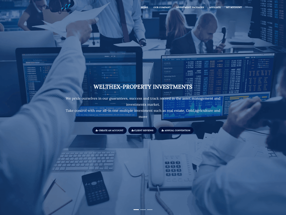 Screenshot der Webseite Welthex Property (welthex-property.com)