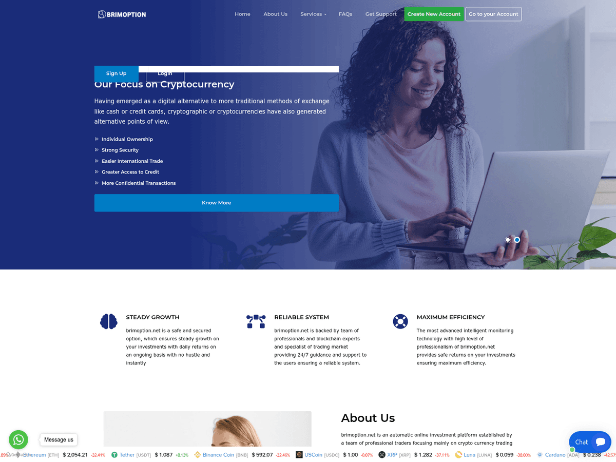 Screenshot der Webseite Brimoption (brimoption.net)