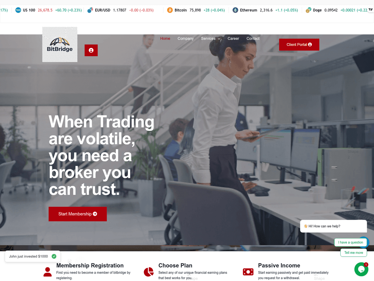 Screenshot der Webseite Bitbridge (bitbridge.live)