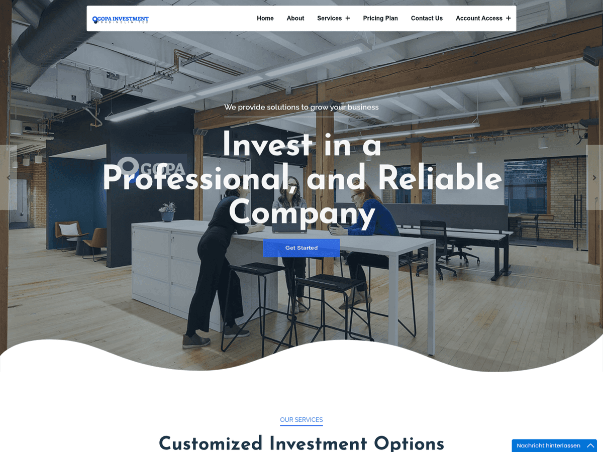 Screenshot der Webseite Gopainvestment (gopainvestment.com)