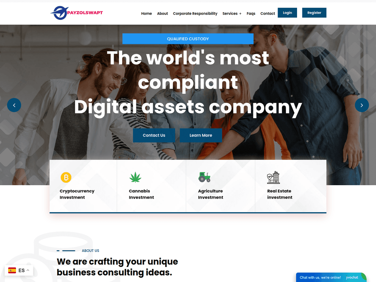Screenshot der Webseite Payzolswapt (payzolswapt.com)