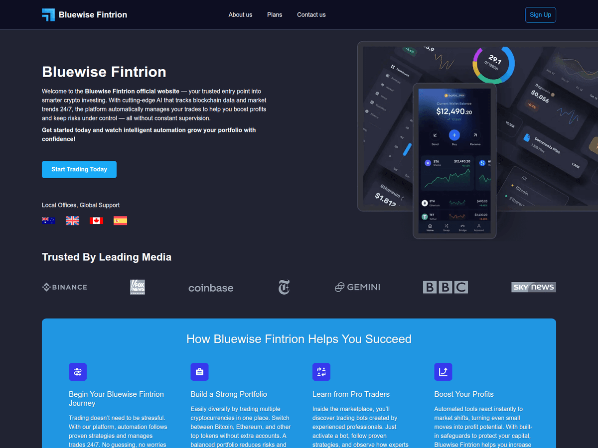 Screenshot der Webseite Bluewisefintrion (bluewisefintrion.com)