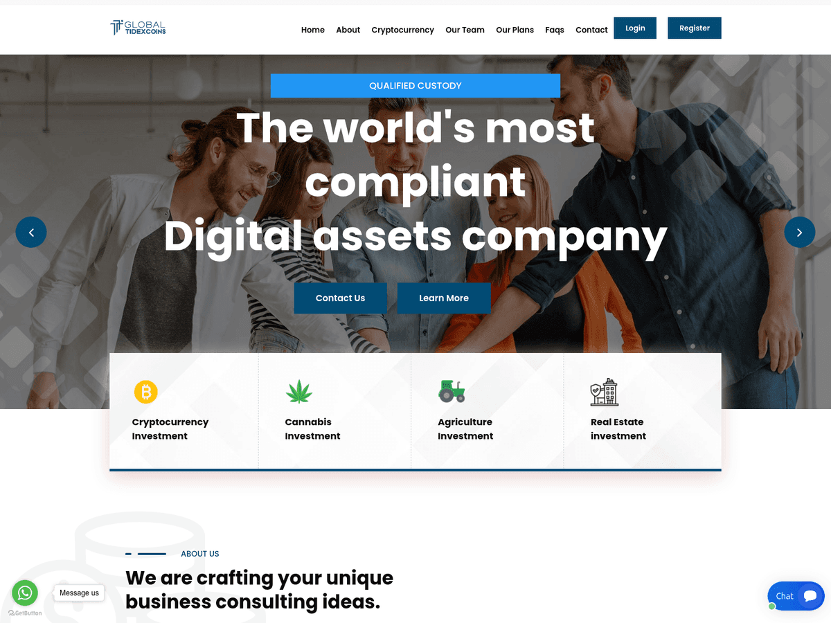 Screenshot der Webseite Global Tidexcoins (global-tidexcoins.net)