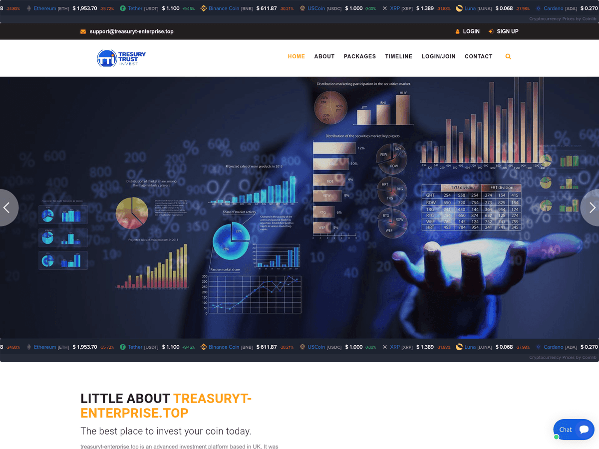 Screenshot der Webseite Treasuryt Enterprise (treasuryt-enterprise.top)