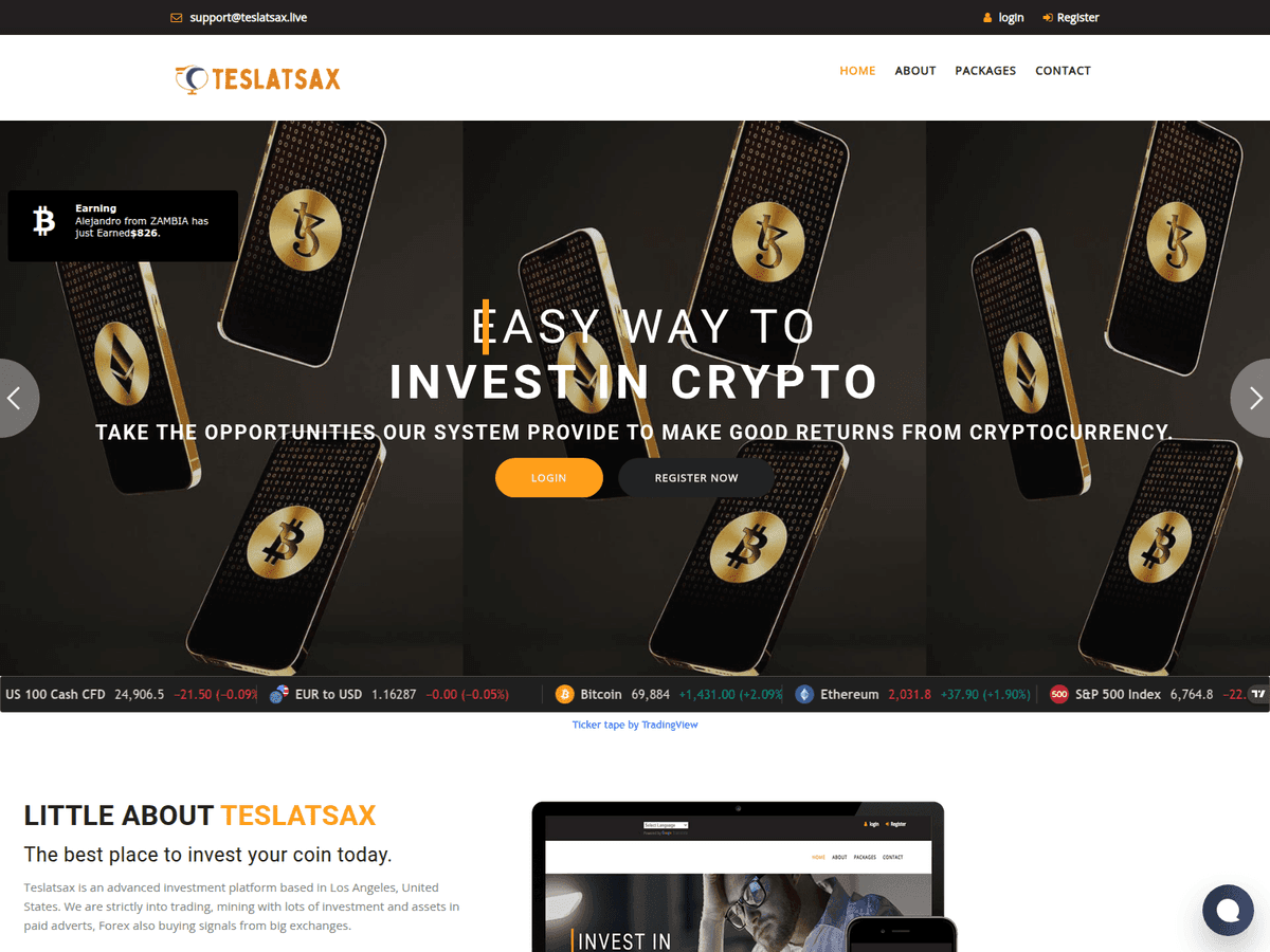 Screenshot der Webseite Teslatsax (teslatsax.live)