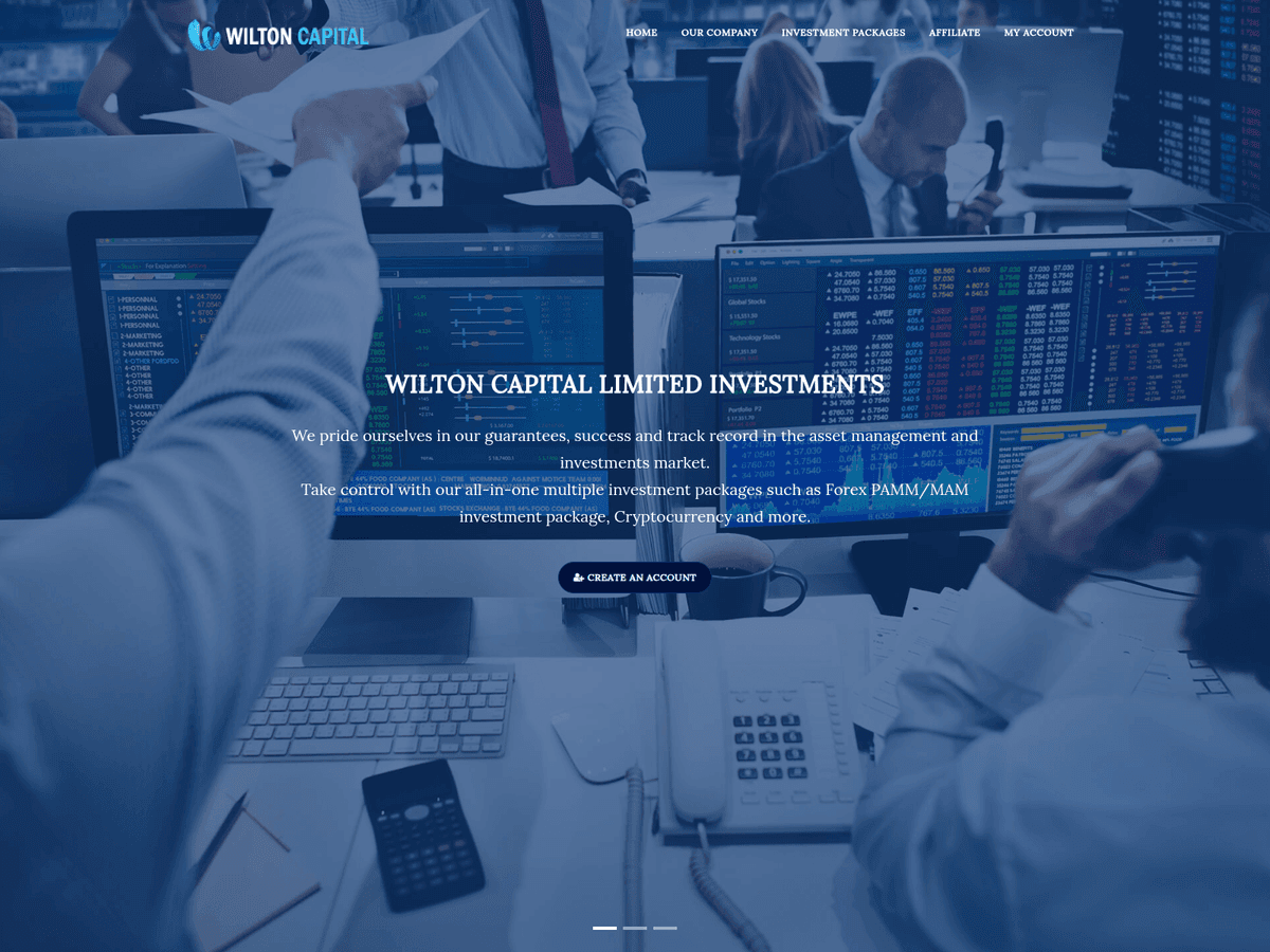 Screenshot der Webseite Wiltoncapitalltd (wiltoncapitalltd.com)
